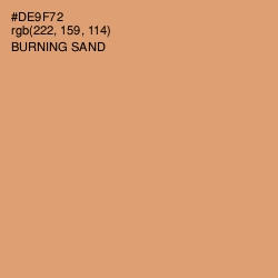 #DE9F72 - Burning Sand Color Image